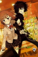 어떤 마술의 금서목록 12 - INDEX(NT Novel(엔티 노벨))